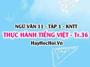 Soạn bài Thực hành tiếng Việt trang 36 Ngữ văn lớp 11 Kết nối tri thức tập 1